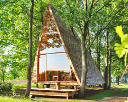Baumhaus in Brandenburg